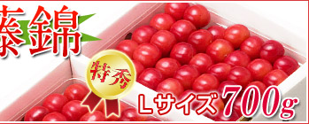 ������L�T�C�Y700g