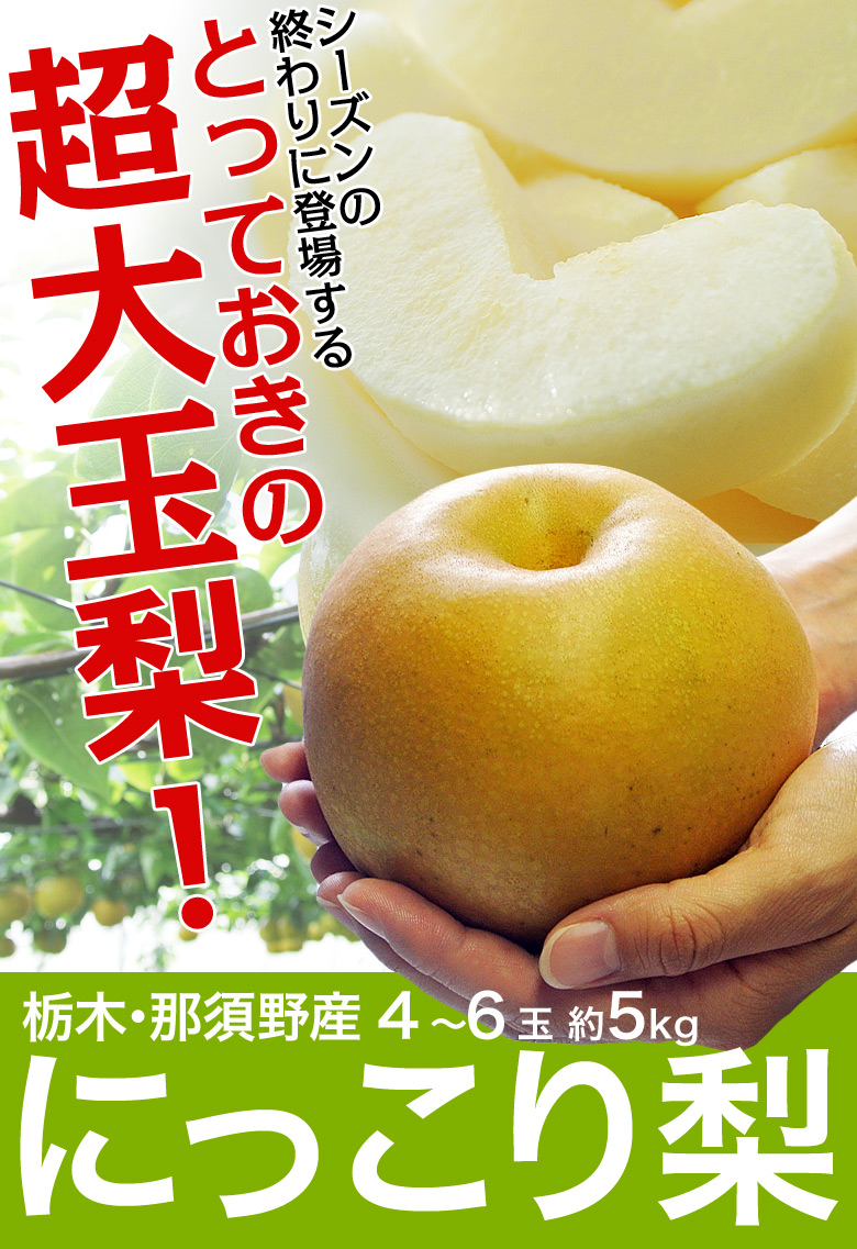 『にっこり梨』 栃木県産 秀〜優品 約5kg (4〜6玉) ※常温 |豊洲市場ドットコム 『にっこり梨』 栃木県産 秀〜優品 約5kg (4〜6玉) ※常温 |豊洲市場ドットコム