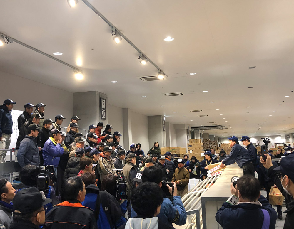 豊洲市場青果棟1階で行われる競り