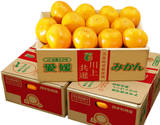 【朝日マリオン】『川上みかん』　愛媛県・西宇和産　2Lサイズ　約3kg×3箱