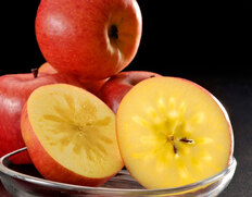 究極の蜜入りリンゴ「こみつ」