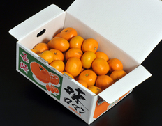 店長イチオシのみかん「味ロマン」 ⇒ 送料無料・1,999円